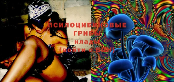 прущие грибы Алексеевка