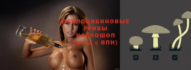 прущие грибы Алексеевка