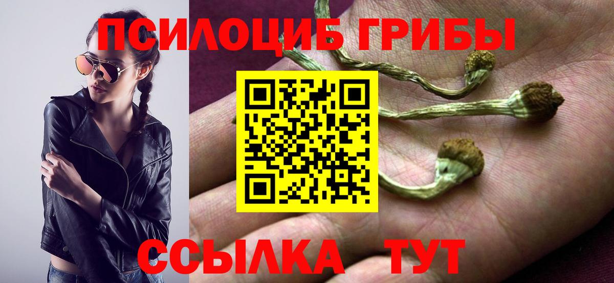 как найти закладки  Галлюциногенные грибы Psilocybe  Вход с VPN  Родники 