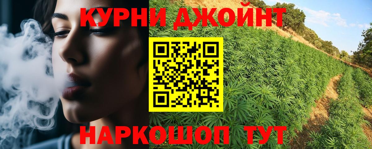 Конопля AK-47 Родники